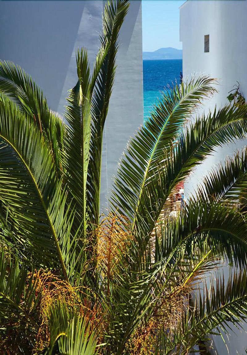 Margarita Sea Side Hotel Kallithea (Chalkidiki) Exterior foto